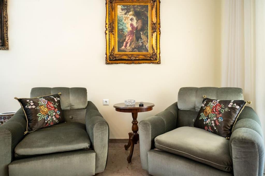 Theoni Central Apartment Kalambáka Kültér fotó