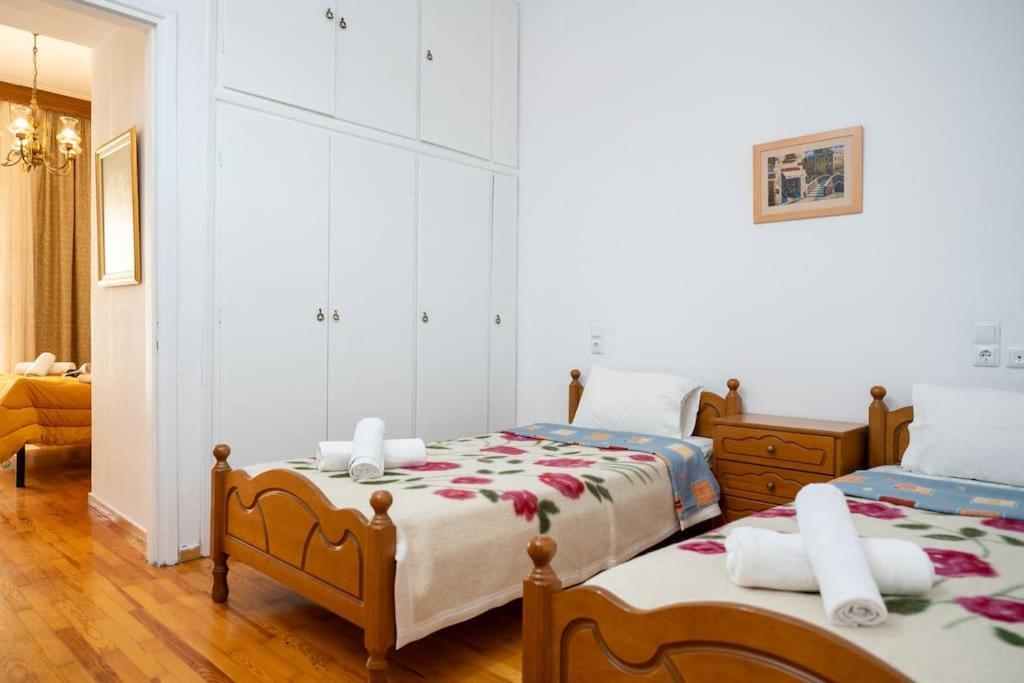 Theoni Central Apartment Kalambáka Kültér fotó