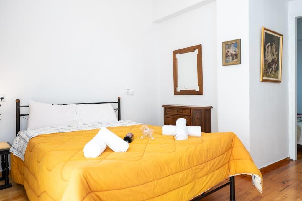 Theoni Central Apartment Kalambáka Kültér fotó