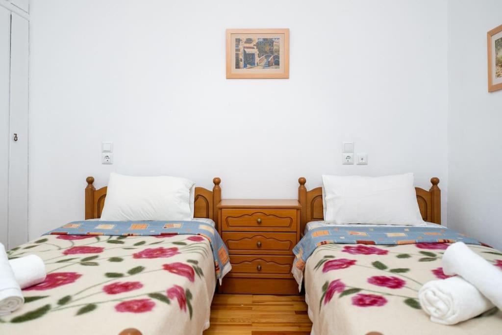 Theoni Central Apartment Kalambáka Kültér fotó