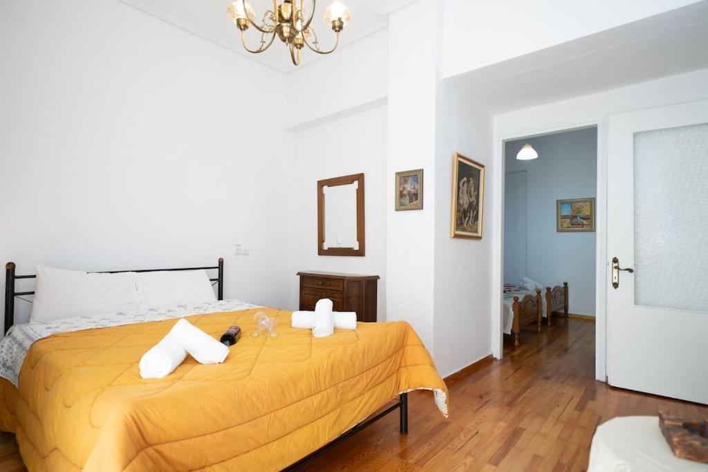 Theoni Central Apartment Kalambáka Kültér fotó
